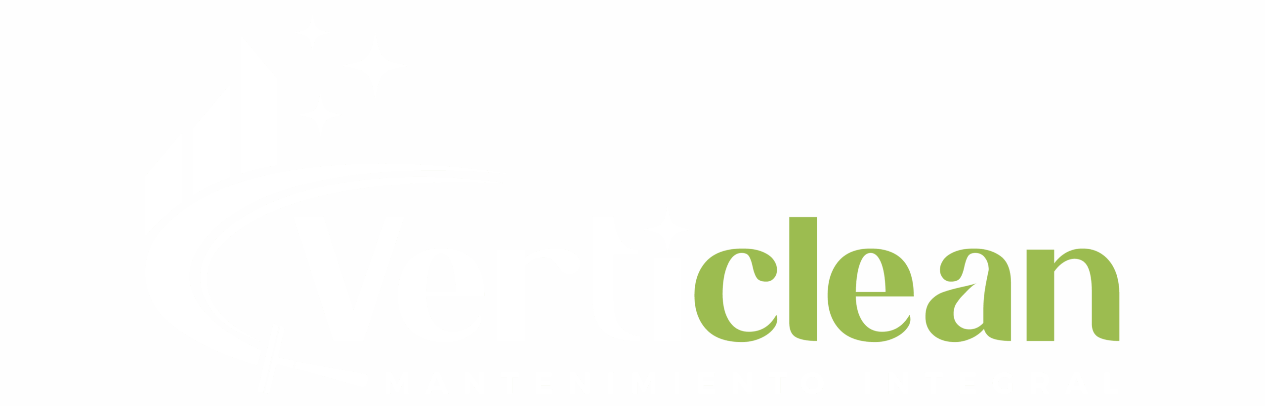 Logo Verticlean